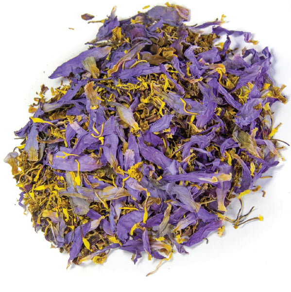 BLUE LOTUS FLOWERS  WHL./CUT