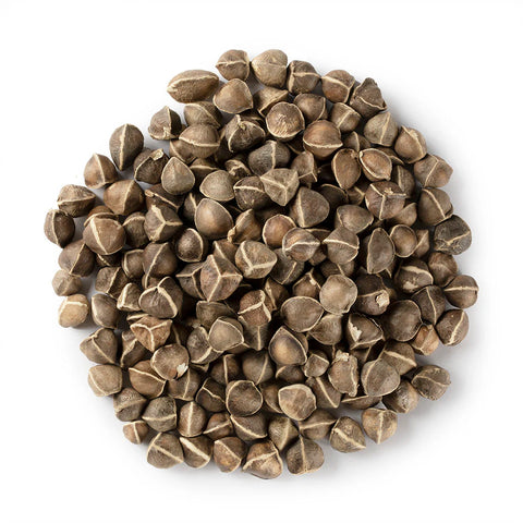 Moringa Seeds Organic