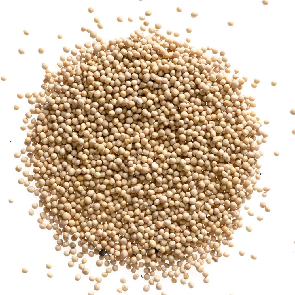 Mustard Seeds ,Yellow Whl. Organic
