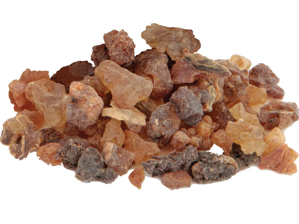 Myrrh Gum Pcs. & Pwd.