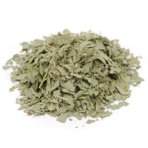 Eucalyptus Lvs. c/s