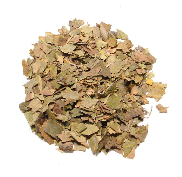 Ginkgo Lvs. C/S &  Pwd.