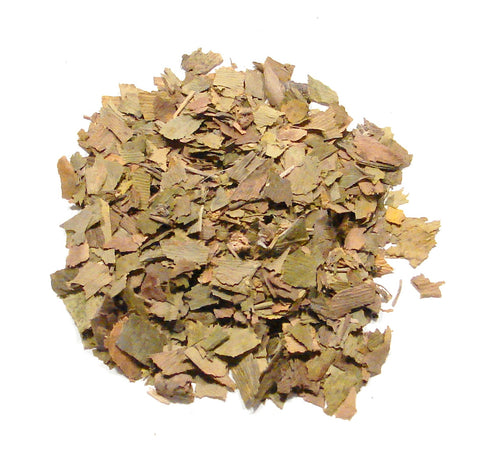 Ginkgo Lvs. C/S &  Pwd.