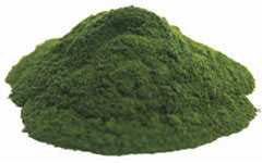 Chlorella Pwd/Organic