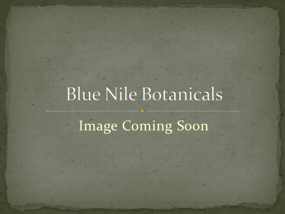 Rose Hips Oil/Organic