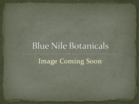 Rose Hips Oil/Organic