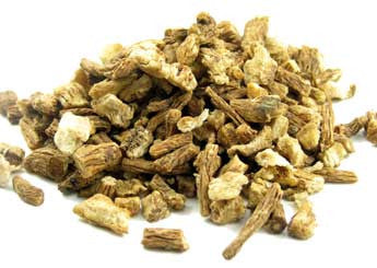 Dong Quai Root C/S & Pwd.