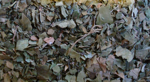 Gymnema Sylvestre Lvs. C/S & Pwd.