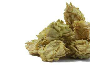 Hops Flowers Whole/Organic