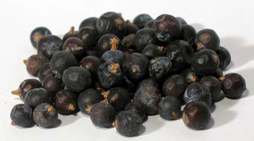 Juniper Berries/Organic